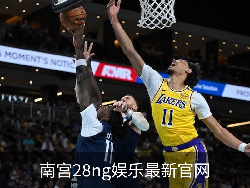 南宫28ng娱乐最新官网概况